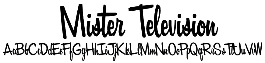 Mister Television